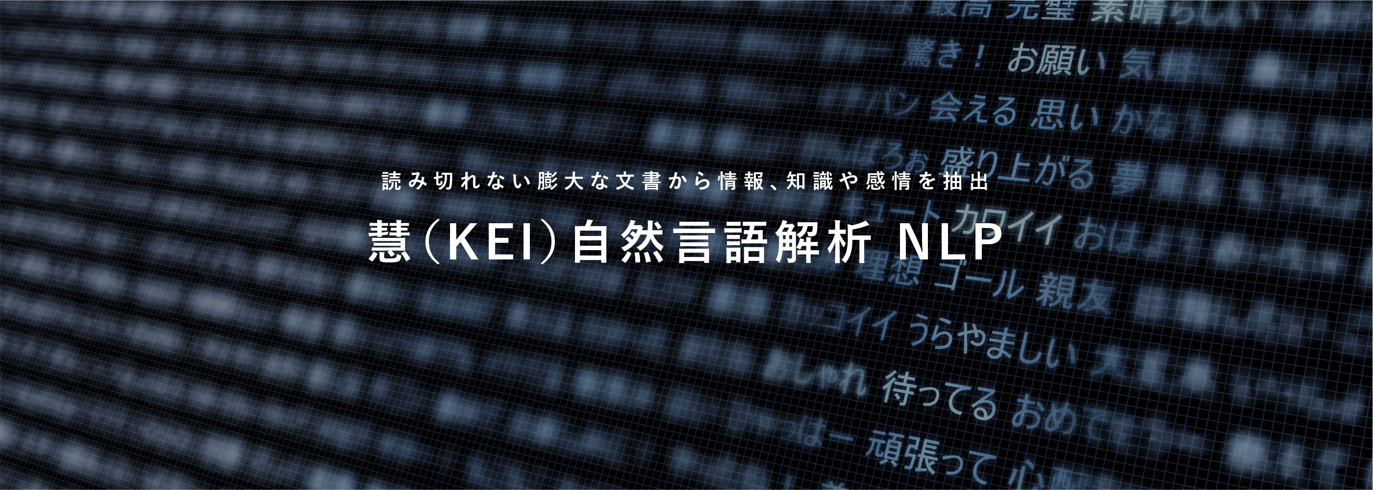 読み切れない膨大な文書から情報、知識や感情を抽出、慧（KEI）自然言語解析 NLP